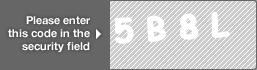 captcha code for visual authentication  number 5 letter B number 8 letter L